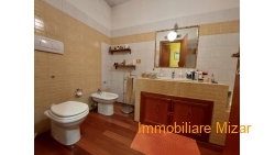 IMG-20220212-WA0033