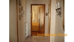 8295f289cef26934cc69b8aaff1620f3