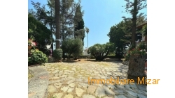 Immagine WhatsApp 2024-11-11 ore 17.06.56_0bcbce9a