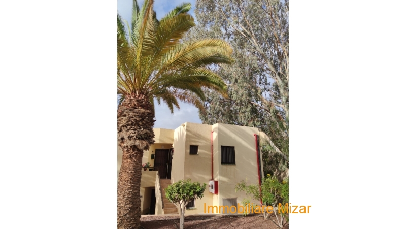 PHOTO-2023-02-07-14-38-58