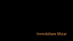 wmremove-transformed (1)