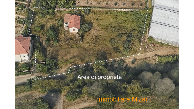 aiease_1767022666439