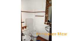 858c591a-407b-48d8-bac7-c5ce83cc0d7a