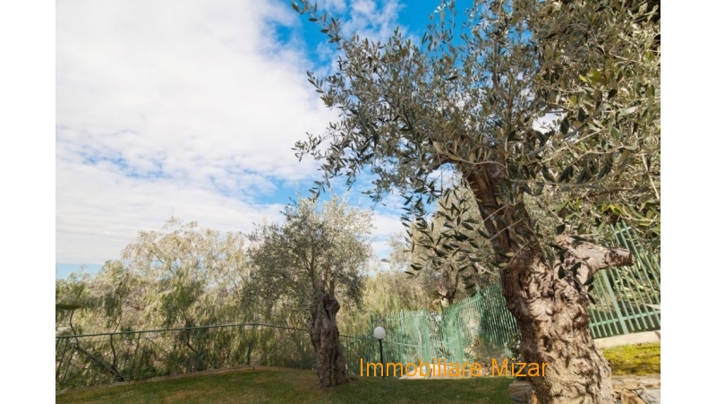 picc_pietra-2421_1500-1000x667