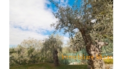 picc_pietra-2421_1500-1000x667