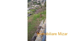 IMG-20210112-WA0055